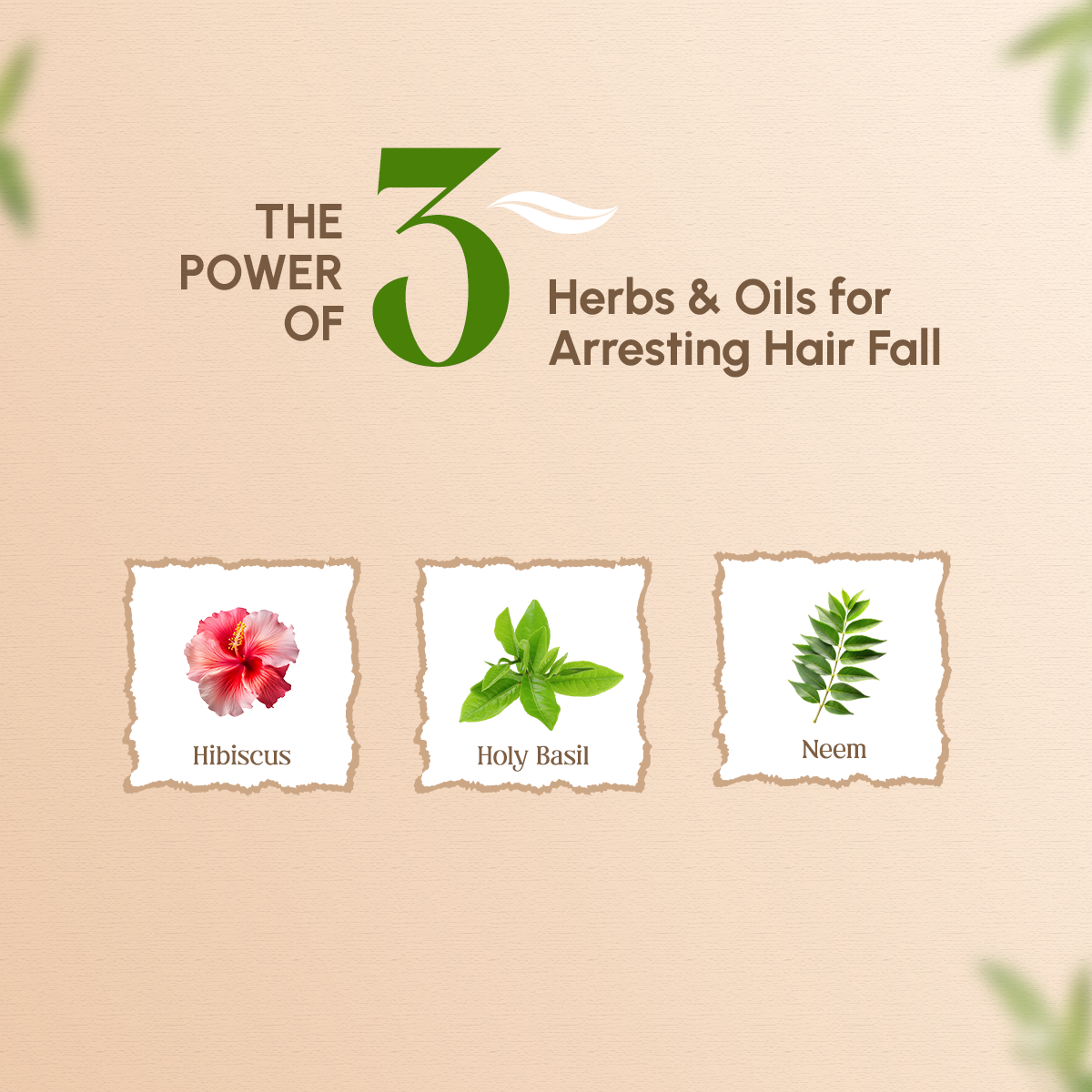 Trichup Hair Fall Control Hair Mask