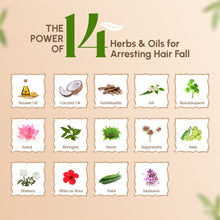 Load image into Gallery viewer, Trichup Hair Fall Control Kit - Oil (200ml) | Shampoo (400ml) | Mask (500ml)