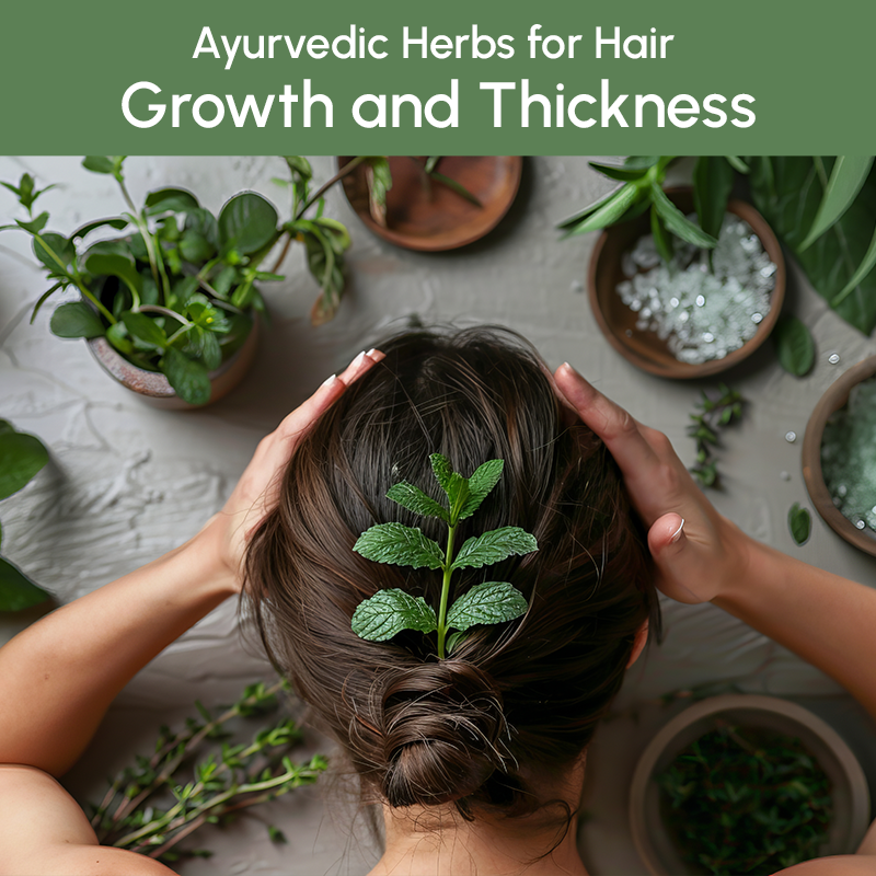 Ayurvedic Herbs for Hair Growth and Thickness: Top 10 Remedies