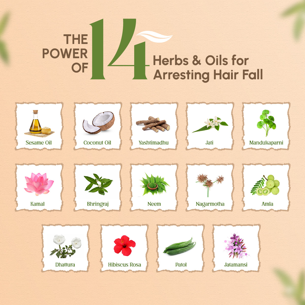 Trichup Hair Fall Control Oil 200ml, Shampoo 640ml, Mask 500ml