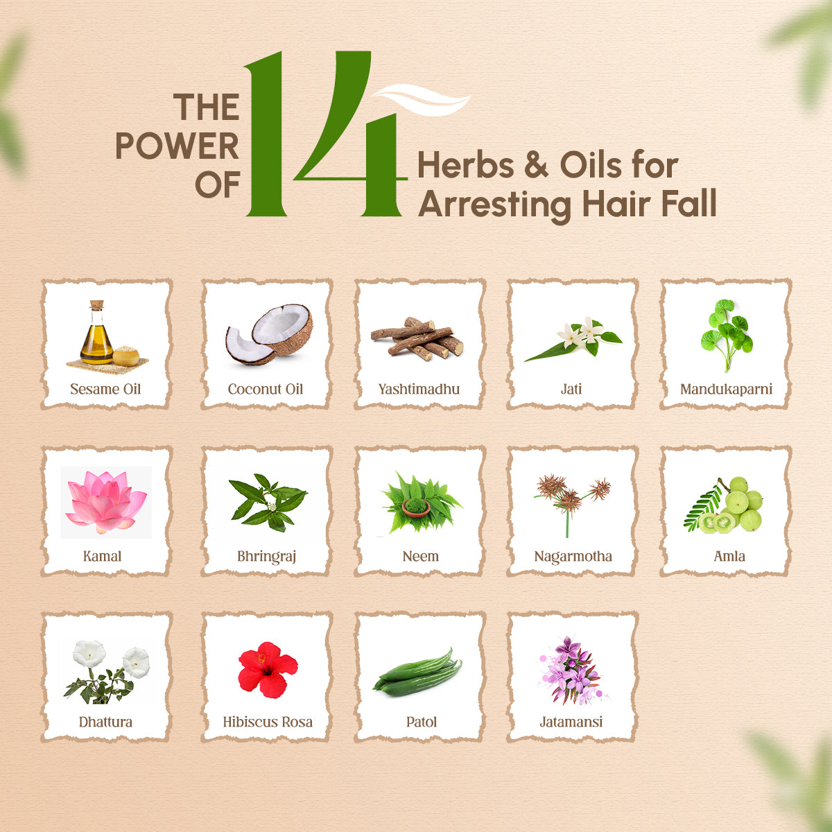 Trichup Hair Fall Control Oil 200ml, Shampoo 400ml, Mask 500ml