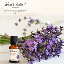 Load image into Gallery viewer, Vasu Aromatics Combo of Rose, Tea Tree, Eucalyptus, Lavender Essential Oil - 100% Pure &amp; Natural - Air Freshener - For a Refreshing &amp; Relaxing Bathing Experience

