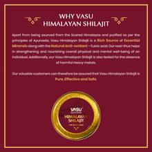Load image into Gallery viewer, Vasu Ayurveda Pure Himalayan Shilajit Original Resin 20g with Additional Benefit of Pure Honey 30g - For Daily Health Wellness | Boosts Stamina &amp; Energy | Immunity Booster
